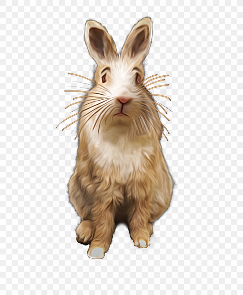Domestic Rabbit Hare Whiskers Art, PNG, 842x1024px, Domestic Rabbit, Abstract, Art, Fashion, Gradient Download Free