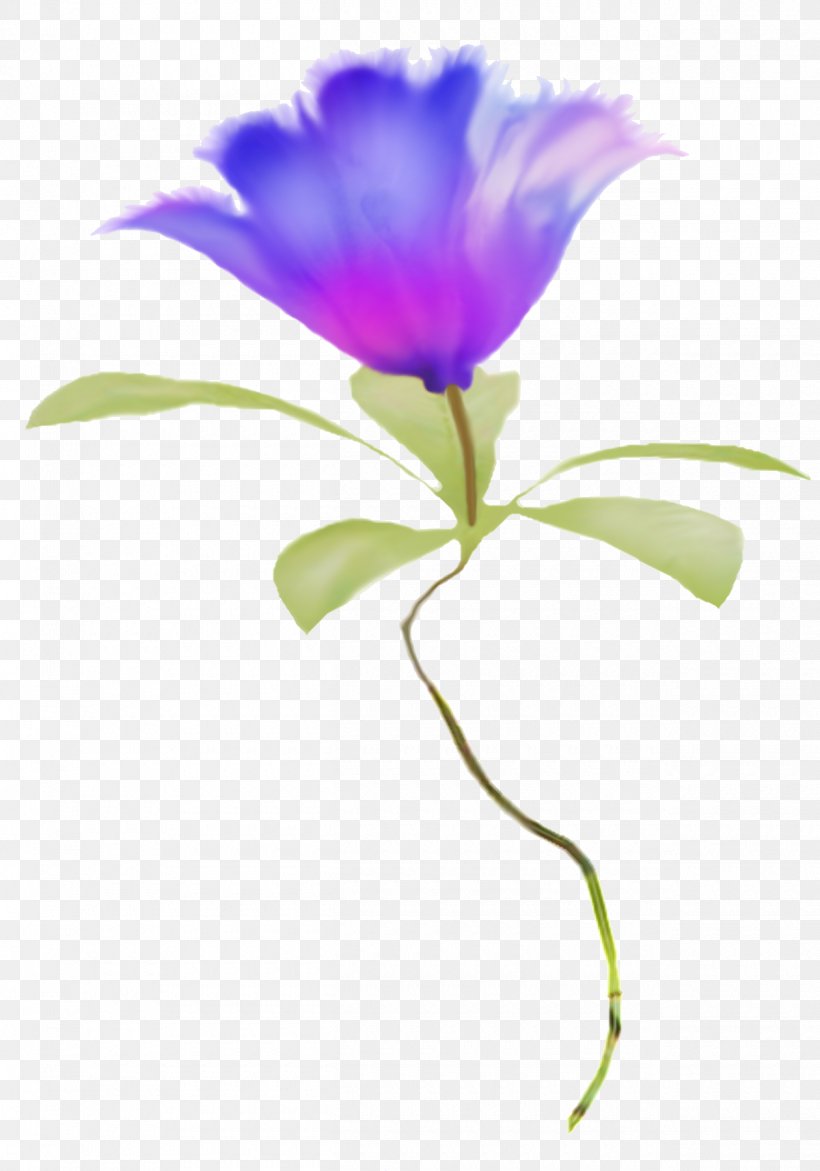 Flower Petal Plant Stem Clip Art, PNG, 1260x1800px, Flower, Blue Flower, Cut Flowers, Flora, Flowering Plant Download Free