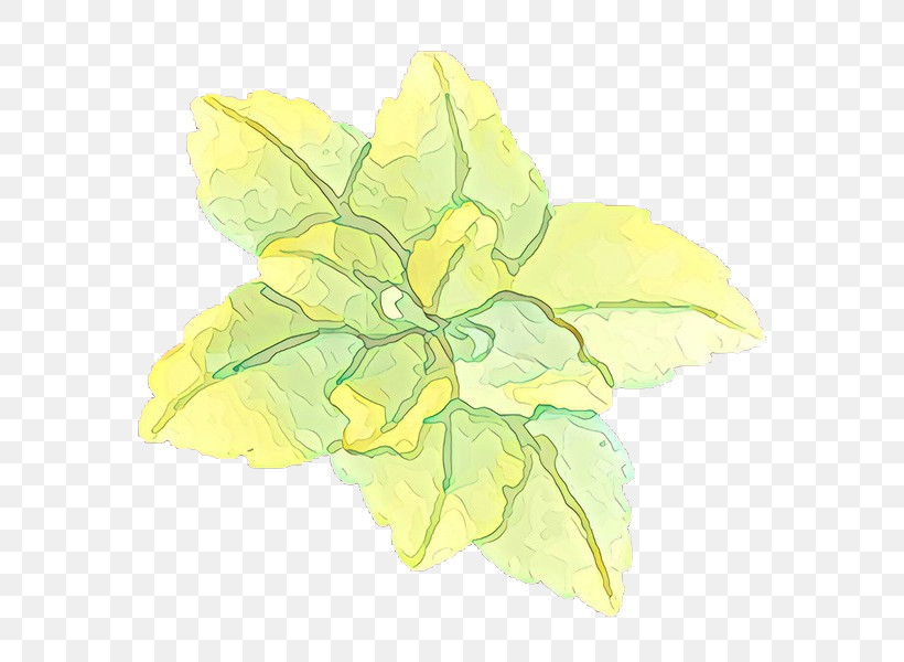 Leaf Yellow Green Flower Plant, PNG, 600x600px, Leaf, Flower, Green, Herbaceous Plant, Petal Download Free