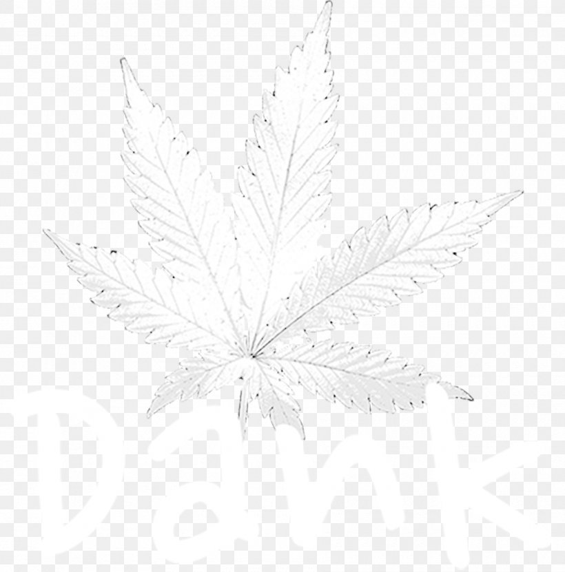 Black And White Monochrome Photography Tree Leaf, PNG, 1800x1825px, Black And White, Black, Leaf, Monochrome, Monochrome Photography Download Free
