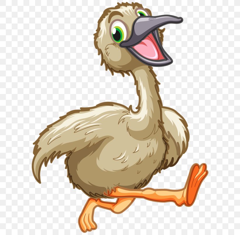 Duck Euclidean Vector, PNG, 623x800px, Duck, Animation, Art, Beak, Bird Download Free