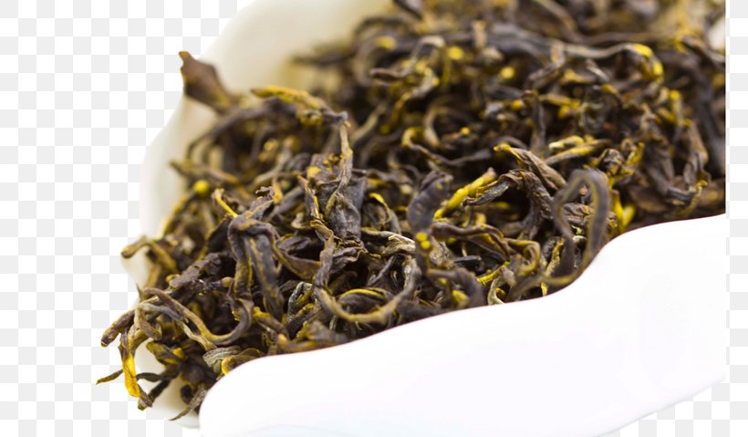Nilgiri Tea Dianhong Golden Monkey Tea Tea Plant, PNG, 772x479px, Nilgiri Tea, Assam Tea, Bai Mudan, Biluochun, Ceylon Tea Download Free