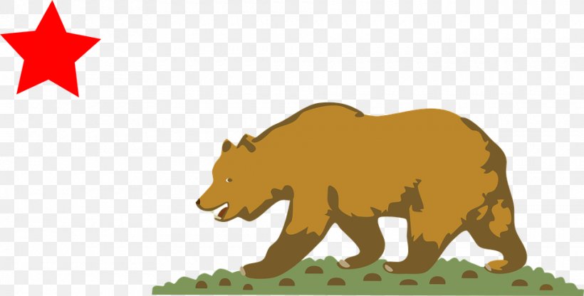 California Republic Flag Of California State Flag, PNG, 960x488px, California, Bear, Big Cats, California Republic, Carnivoran Download Free