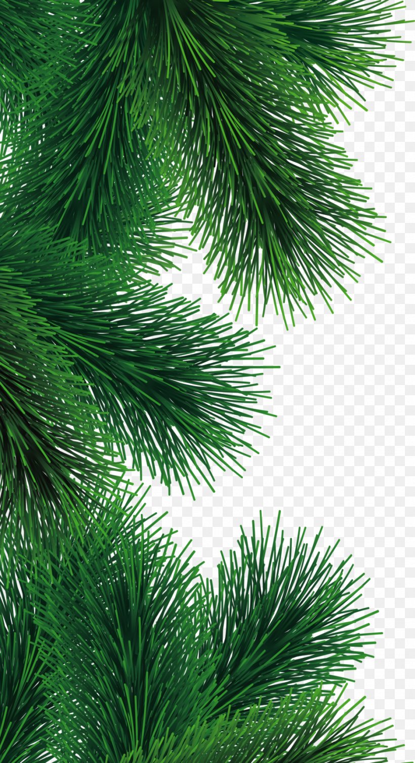 Christmas Tree Fir Pine, PNG, 938x1723px, Tree, Branch, Christmas, Christmas Decoration, Christmas Ornament Download Free