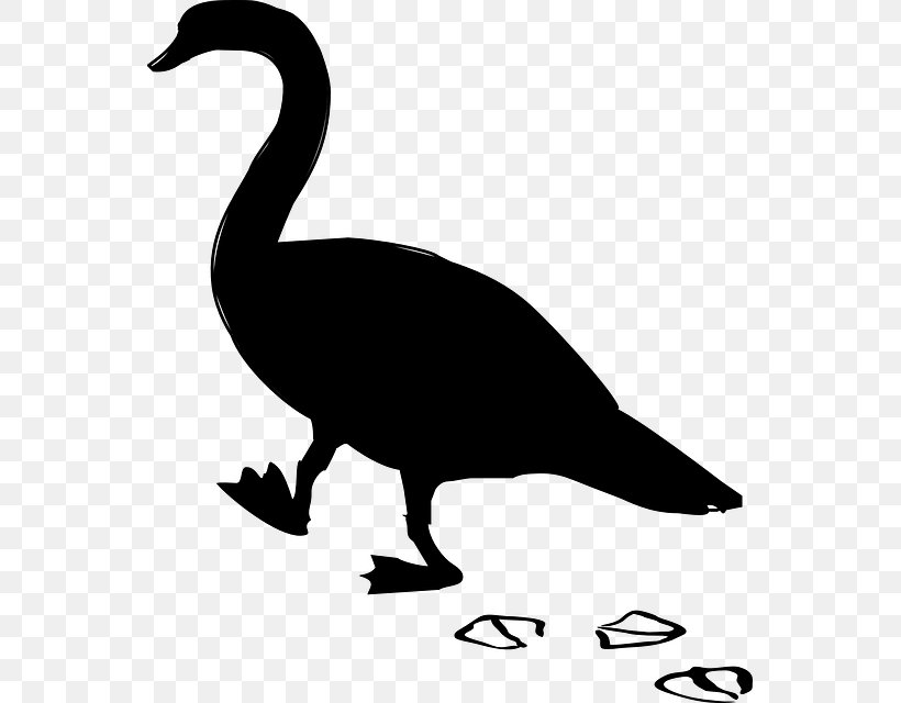 Duck Goose Clip Art Fowl Fauna, PNG, 551x640px, Duck, Beak, Bird, Dinosaur, Ducks Geese And Swans Download Free