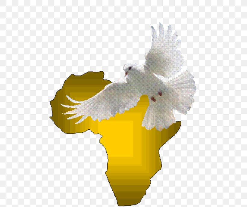 Eagle Holy Spirit Beak Doves As Symbols Feather, PNG, 495x688px, Eagle, Beak, Bird, Bird Of Prey, Doves As Symbols Download Free