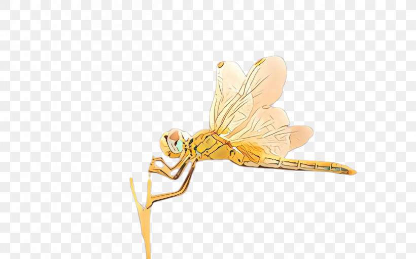 Insect Dragonflies And Damseflies Dragonfly Pest Yellow, PNG, 2528x1579px, Insect, Damselfly, Dragonflies And Damseflies, Dragonfly, Mayflies Download Free