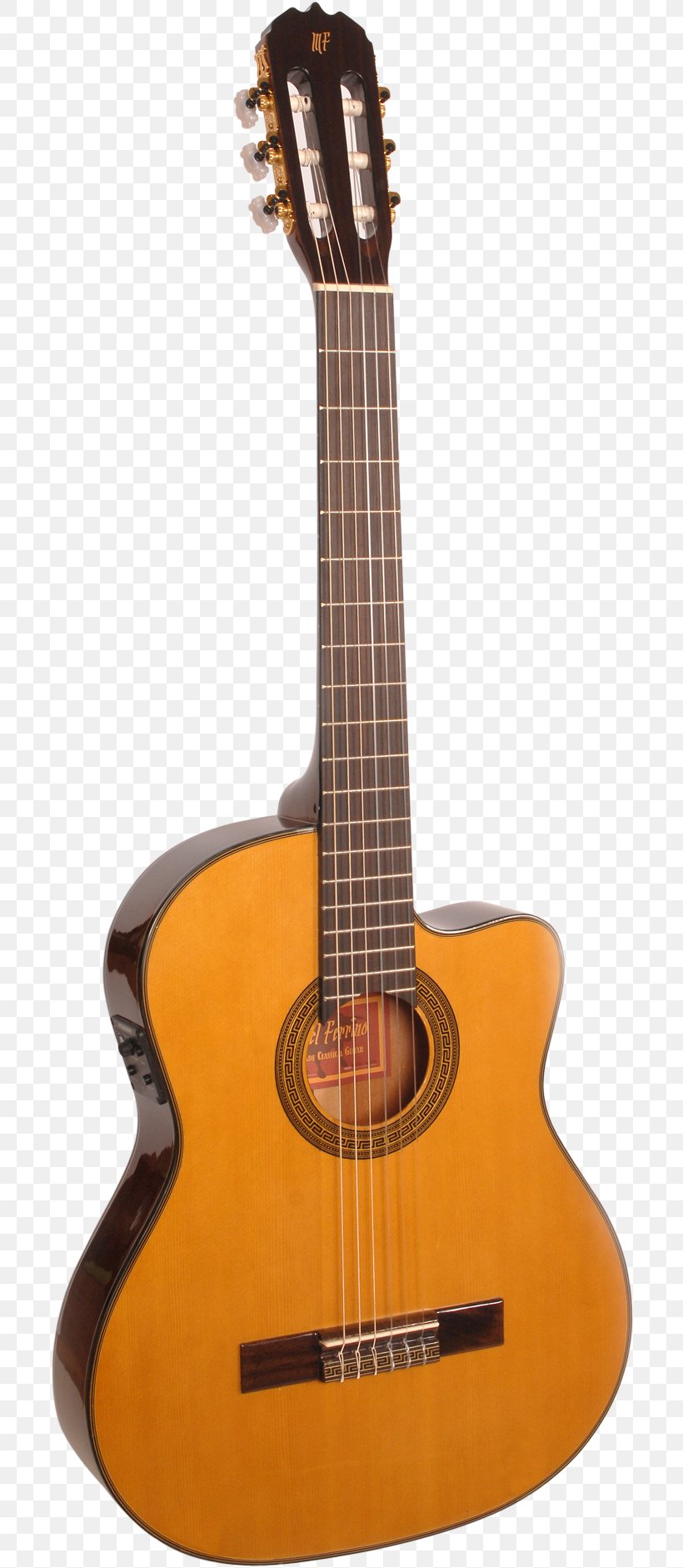 Classical Guitar Acoustic Guitar Flamenco Guitar Electric Guitar, PNG, 750x1881px, Classical Guitar, Acoustic Electric Guitar, Acoustic Guitar, Alhambra, Bass Guitar Download Free