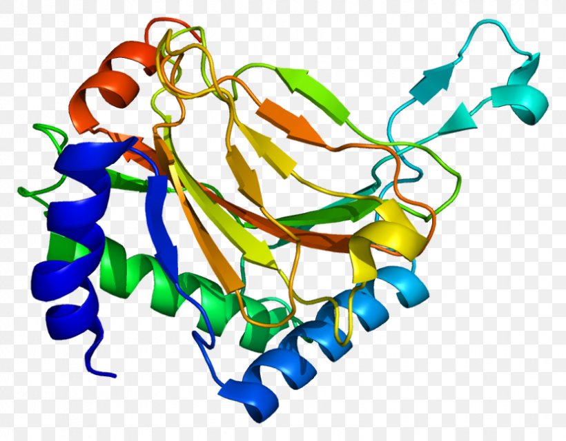 EGLN1 Hypoxia-inducible Factors HIF1A Procollagen-proline Dioxygenase Hydroxylation, PNG, 829x648px, Hypoxiainducible Factors, Alphaketoglutaric Acid, Area, Artwork, Enzyme Download Free