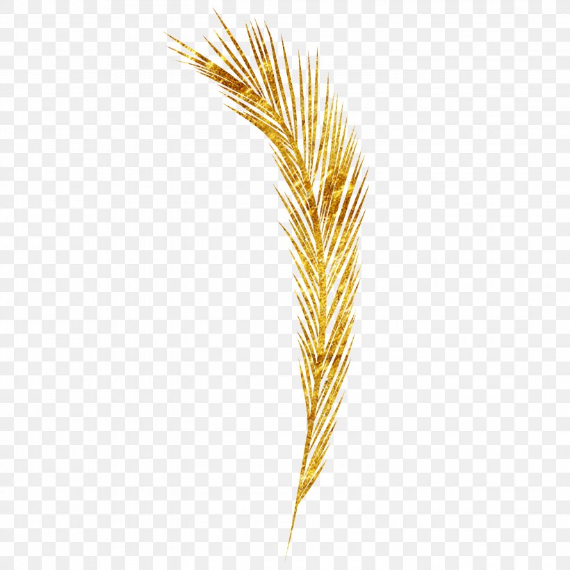 Emmer Pattern, PNG, 3000x3000px, Emmer, Commodity, Feather, Food Grain, Grass Family Download Free