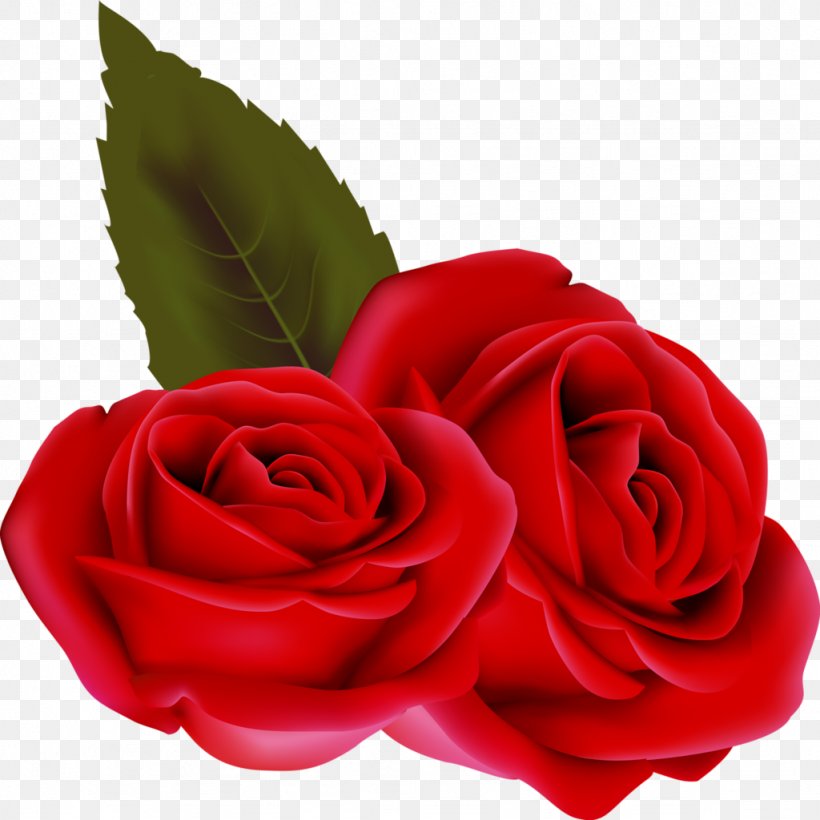Valentine's Day Beach Rose Clip Art, PNG, 1024x1024px, Valentine S Day ...