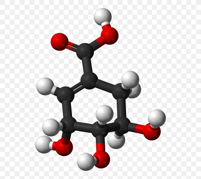 Aminoshikimic Acid Shikimate Pathway Carboxylic Acid, PNG, 600x731px, Shikimic Acid, Acetic Acid, Acid, Aspirin, Carboxylic Acid Download Free