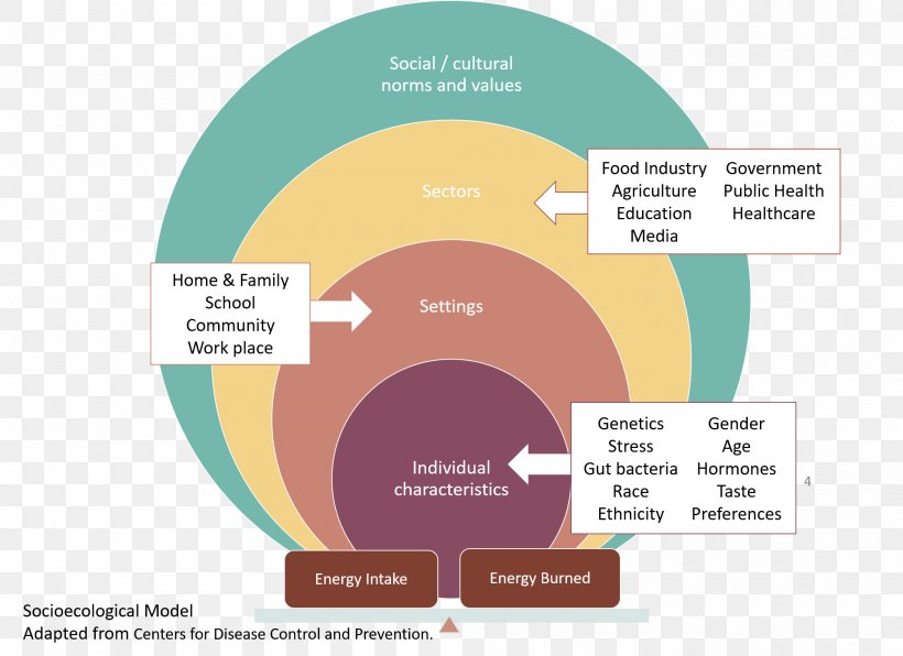 Health Social Ecological Model Food Diet Graphic Design, PNG, 2000x1454px, Health, Brand, Communication, Diagram, Diet Download Free