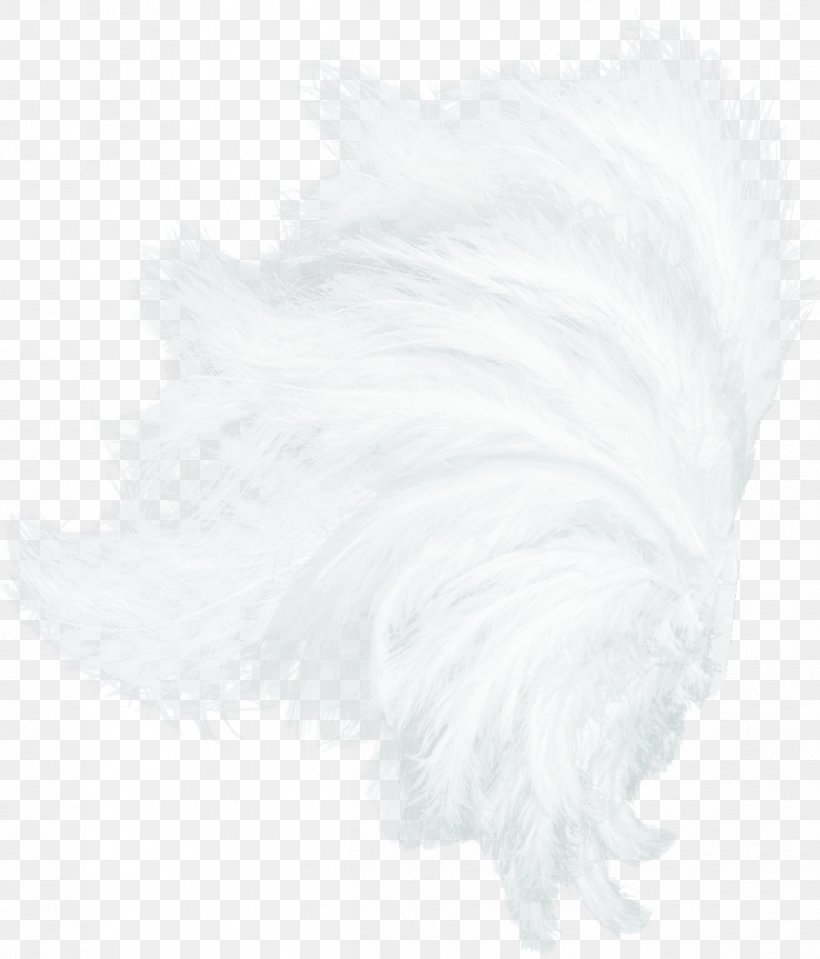 White Feather Black Pattern, PNG, 1196x1400px, White, Black, Black And White, Feather, Fur Download Free