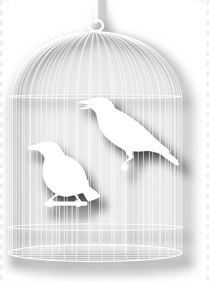Bird Cartoon Silhouette, PNG, 800x1107px, Bird, Art, Beak, Birdcage, Black And White Download Free