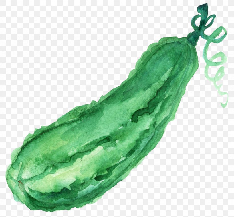 Cucumber Watercolor Painting Aguas Frescas Vegetable, PNG, 1024x954px, Cucumber, Aguas Frescas, Art, Cooking, Cucumber Gourd And Melon Family Download Free