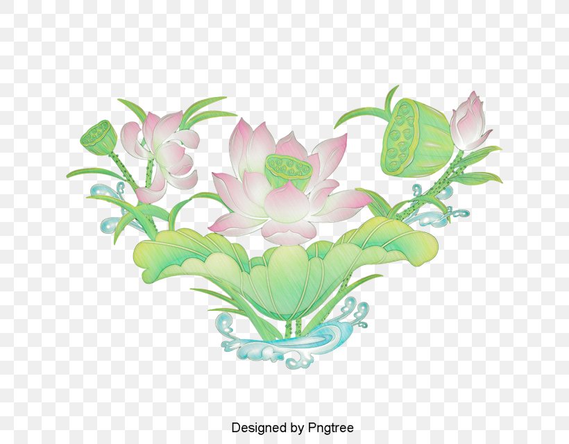 Floral Design Cartoon Image Sacred Lotus, PNG, 640x640px, Floral Design, Aquarium Decor, Cartoon, Cut Flowers, Drawing Download Free