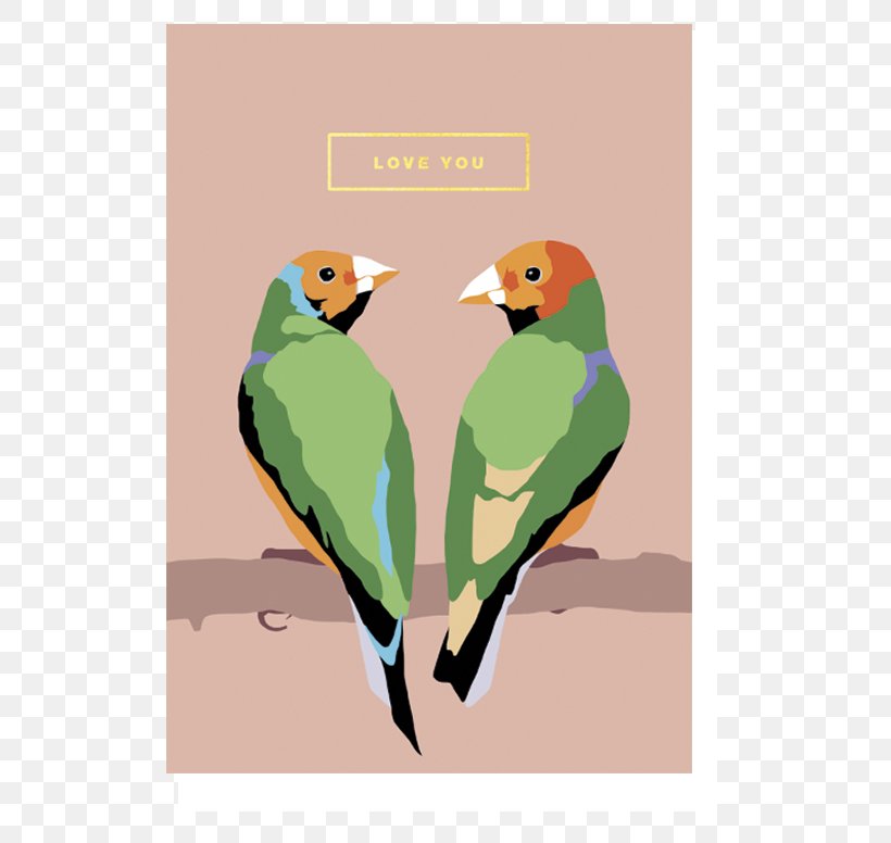 Greeting & Note Cards Paper Parrot Love Gift, PNG, 560x776px, Greeting Note Cards, Art, Beak, Better Together, Bird Download Free