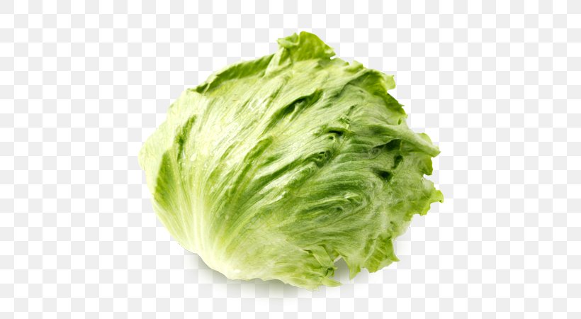 Lettuce Vegetable Seasonal Food Fruit, PNG, 600x450px, Lettuce, Bamboo Shoot, Blog, Cabbage, Capitata Group Download Free