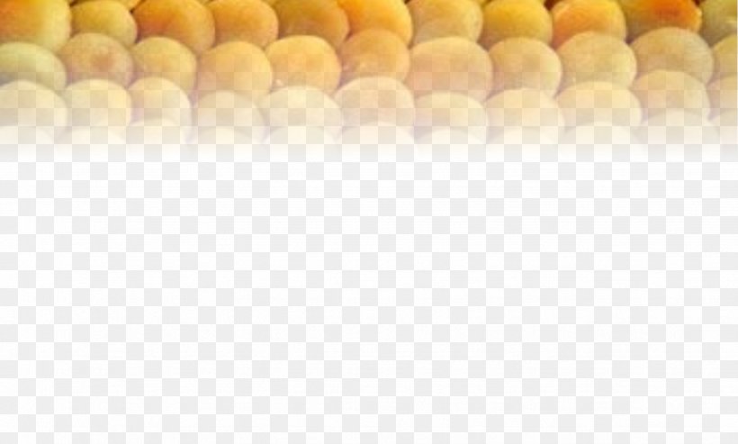 Malatya Dried Apricot Cooking Apricot Kernel, PNG, 1331x801px, Malatya, Apricot, Apricot Kernel, Bowling Pin, Cooking Download Free