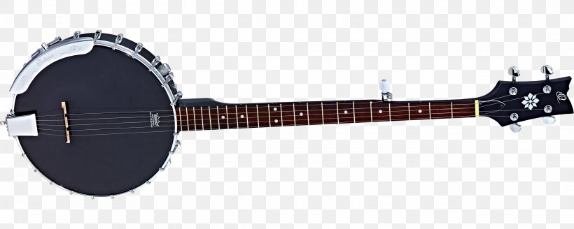 Musical Instruments Ukulele Guitar String Instruments Plucked String Instrument, PNG, 2500x1000px, Watercolor, Cartoon, Flower, Frame, Heart Download Free