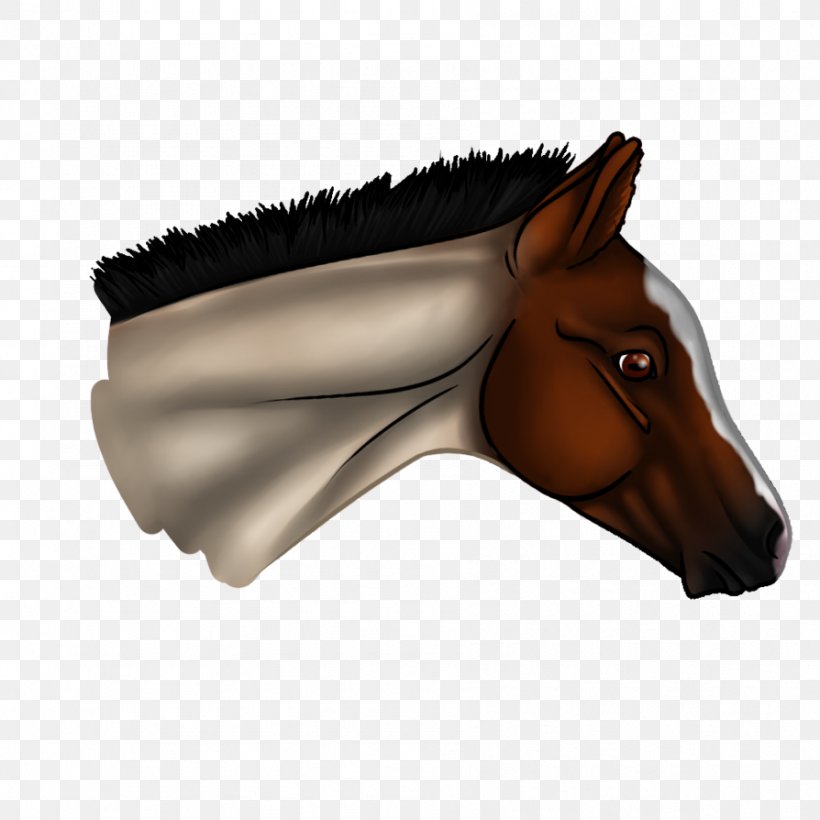 Pony Mustang Stallion Halter Bridle, PNG, 894x894px, Pony, Animal, Bit, Bridle, Colt Download Free
