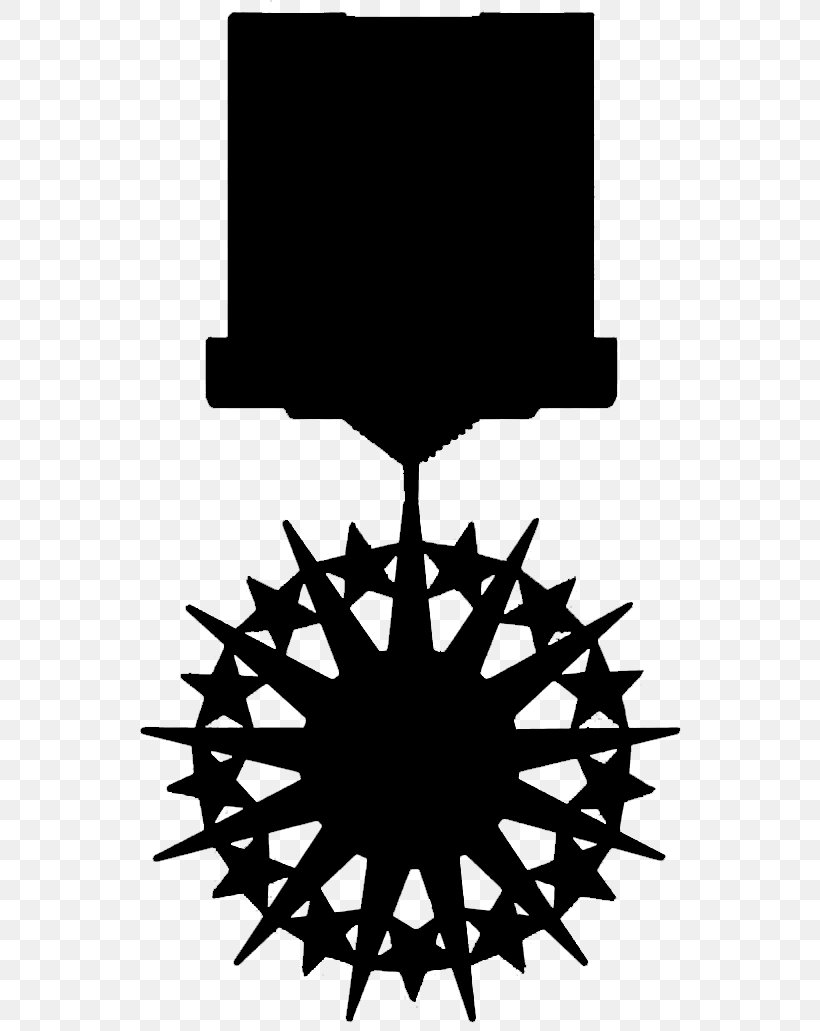 Distinguished Service Medal United States Of America Distinguished Service Cross Hotel Room, PNG, 564x1031px, Distinguished Service Medal, Accommodation, Award, Blackandwhite, Defense Distinguished Service Medal Download Free