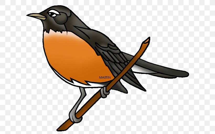 European Robin American Robin YouTube Clip Art, PNG, 648x511px, European Robin, American Robin, Art, Beak, Bird Download Free