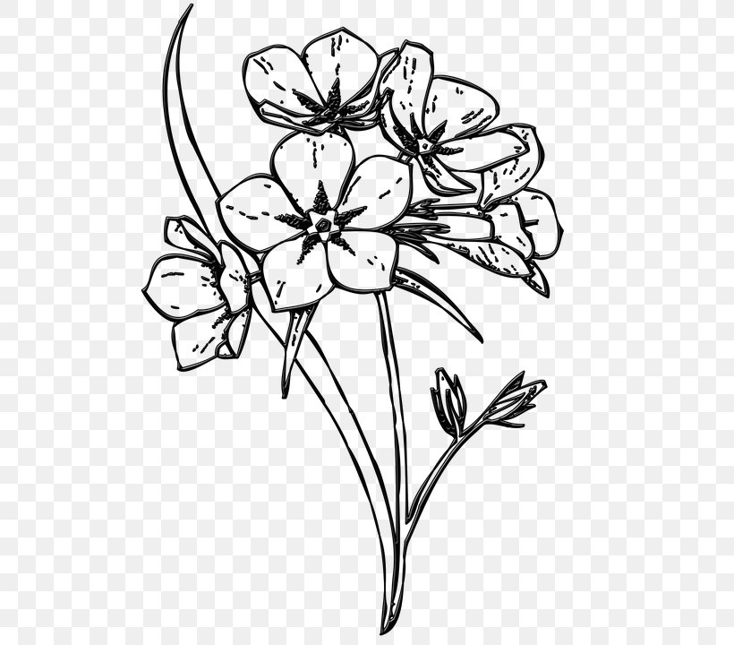 Floral Design Flower Drawing Petal, PNG, 720x720px, Floral Design, Art, Artwork, Black And White, Branch Download Free