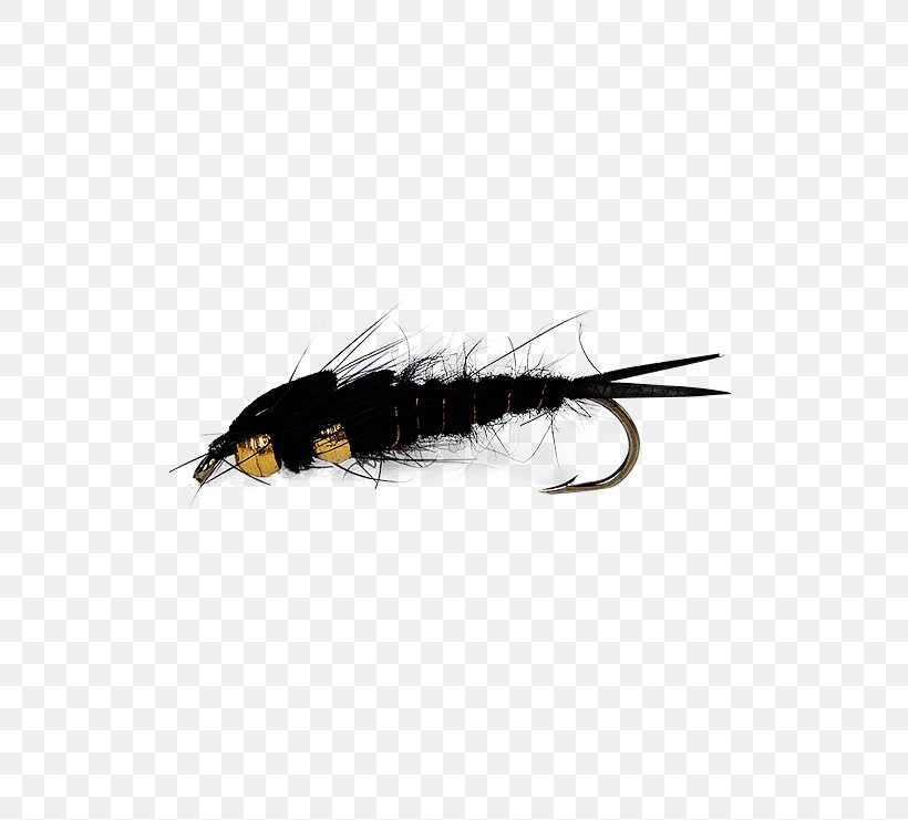 Fly Fishing Insect Stoneflies Holly Flies, PNG, 555x741px, Fly, Arthropod, Bomber, Crayfish, Discounts And Allowances Download Free