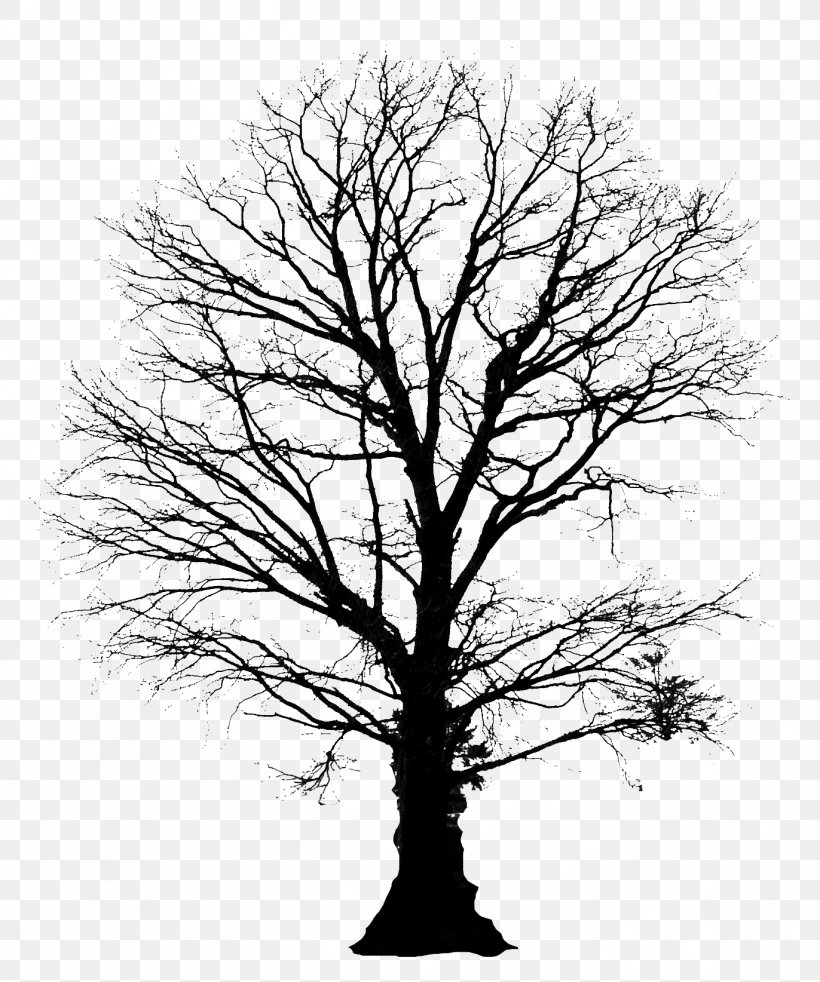 Tree Clip Art, PNG, 1372x1644px, Tree, Adobe Systems, Black And White, Branch, Drawing Download Free