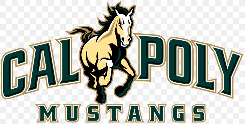 California Polytechnic State University Cal Poly San Luis Obispo College Of Engineering Cal Poly Mustangs Football Cal Poly Mustangs Men's Basketball Cal Poly Mustangs Baseball, PNG, 1280x651px, Cal Poly Mustangs Football, Brand, Cal Poly Mustangs, Cal Poly Mustangs Baseball, California Download Free