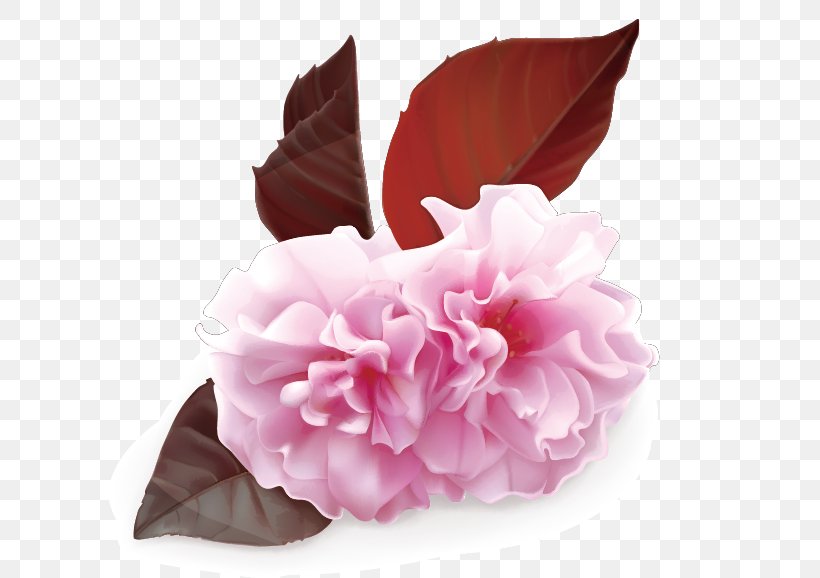 Cherry Blossom, PNG, 604x578px, Cherry Blossom, Blossom, Creative Market, Cut Flowers, Floral Design Download Free