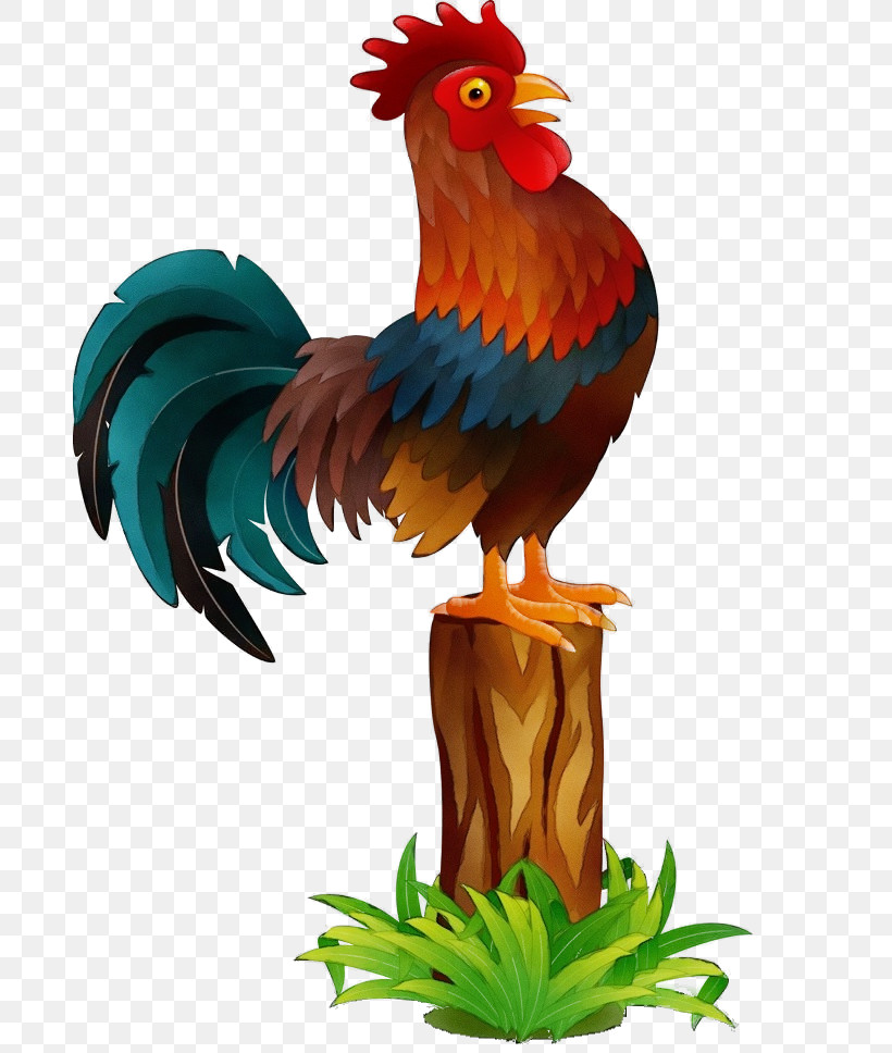 Bird Chicken Rooster Beak Comb, PNG, 685x968px, Watercolor, Beak, Bird, Chicken, Comb Download Free