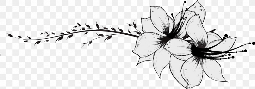 Black-and-white Plant Flower Petal Wildflower, PNG, 1811x637px, Flower Border, Blackandwhite, Floral Line, Flower, Flower Background Download Free