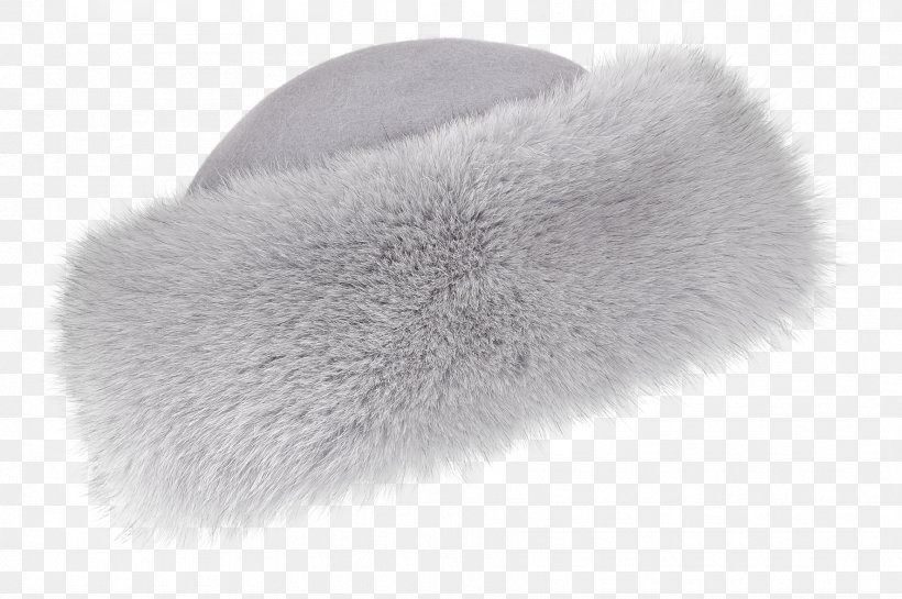 Brush Fur, PNG, 1772x1179px, Brush, Fur, Material Download Free