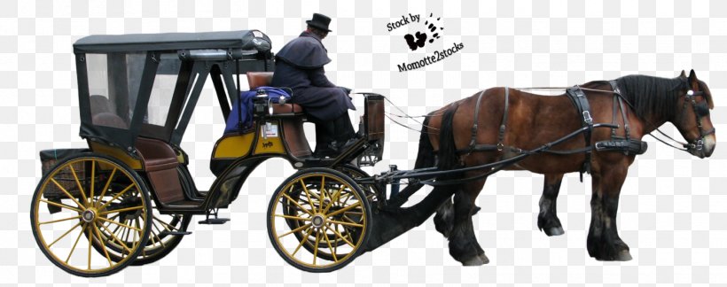 Horse And Buggy Carriage Horse-drawn Vehicle, PNG, 1421x562px, Horse, Brougham, Carriage, Cart, Chariot Download Free