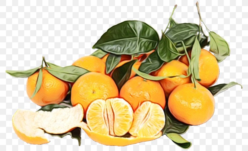 Orange, PNG, 800x500px, Watercolor, Citrus, Food, Fruit, Mandarin Orange Download Free