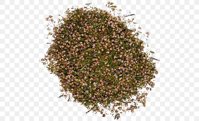 Spearmint Peppermint Herb Spice Cannabis, PNG, 500x500px, Spearmint, Basil, Beer Brewing Grains Malts, Cannabis, Dill Download Free
