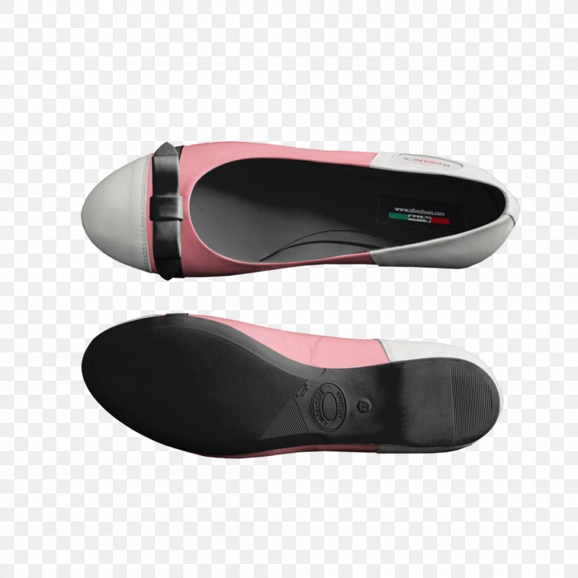 Ballet Flat Shoe, PNG, 1000x1000px, Ballet Flat, Ballet, Footwear, Outdoor Shoe, Shoe Download Free