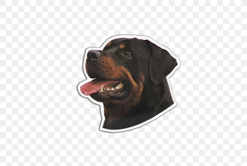 Black And Tan Coonhound Rottweiler Dog Breed Snout, PNG, 552x552px, Black And Tan Coonhound, Black Tan, Bmw 4 Series, Breed, Car Download Free