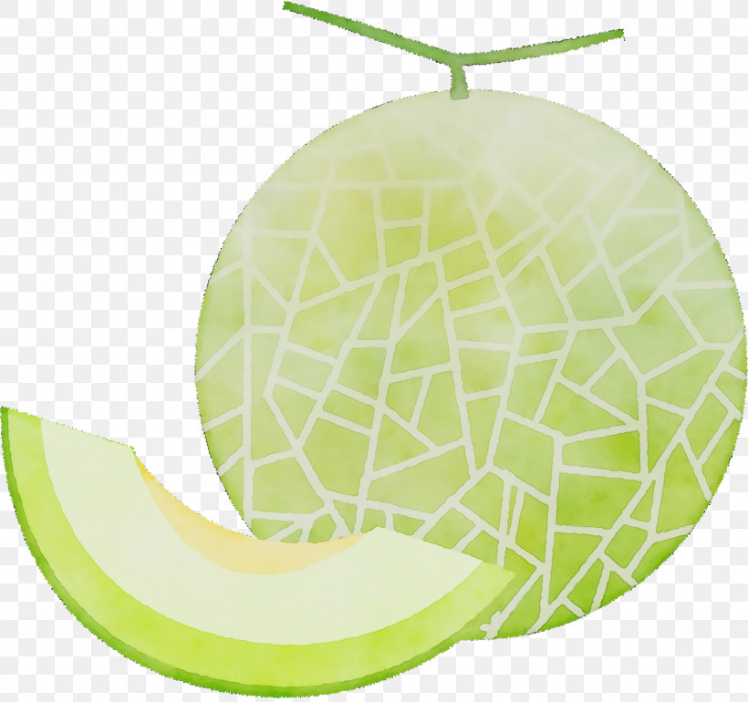 Melon Fruit, PNG, 1600x1504px, Watercolor, Fruit, Melon, Paint, Wet Ink Download Free