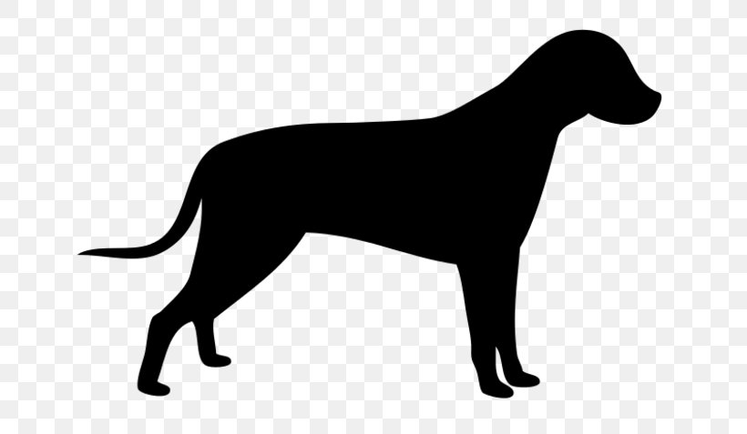 Pointer Scottish Terrier Clip Art, PNG, 700x477px, Pointer, Bird Dog, Black, Black And White, Carnivoran Download Free