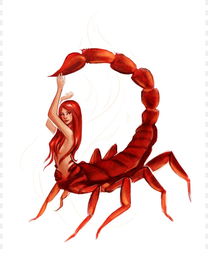 Scorpio Drawing Woman Zodiac Astrological Sign, PNG, 800x1000px, Watercolor, Cartoon, Flower, Frame, Heart Download Free
