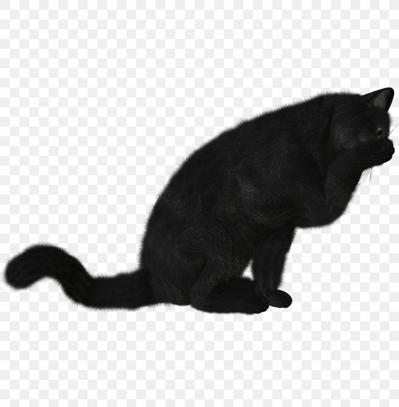 Bombay Cat Kitten Black Cat Clip Art, PNG, 1490x1520px, Bombay Cat, Black, Black And White, Black Cat, Bombay Download Free