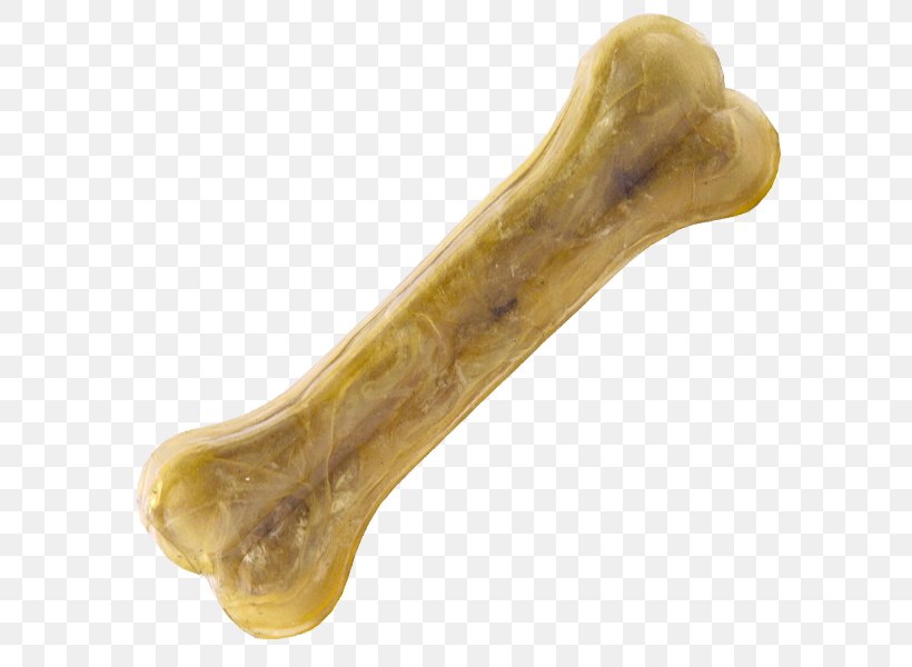 Bone Human Tooth, PNG, 600x600px, Bone, Archive File, Centimeter, Gums, Human Tooth Download Free