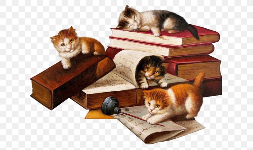 Cat Literature Romanticism Drawing Literary Realism, PNG, 650x488px, Cat, Animation, Blog, Book, Box Download Free