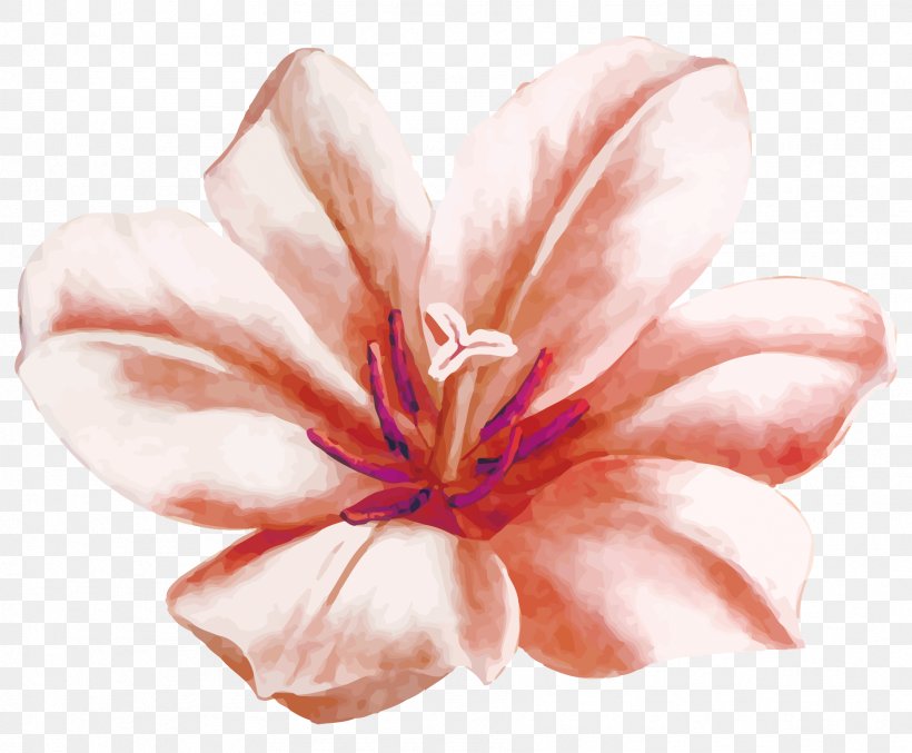 Watercolor Painting Flower Euclidean Vector, PNG, 1816x1500px, Flower, Blossom, Close Up, Designer, Flowering Plant Download Free