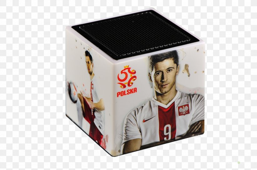Computer Mouse MPEG-1 Audio Layer I, PNG, 2128x1416px, Computer Mouse, Box, Mouse Mats, Polish Football Association Download Free