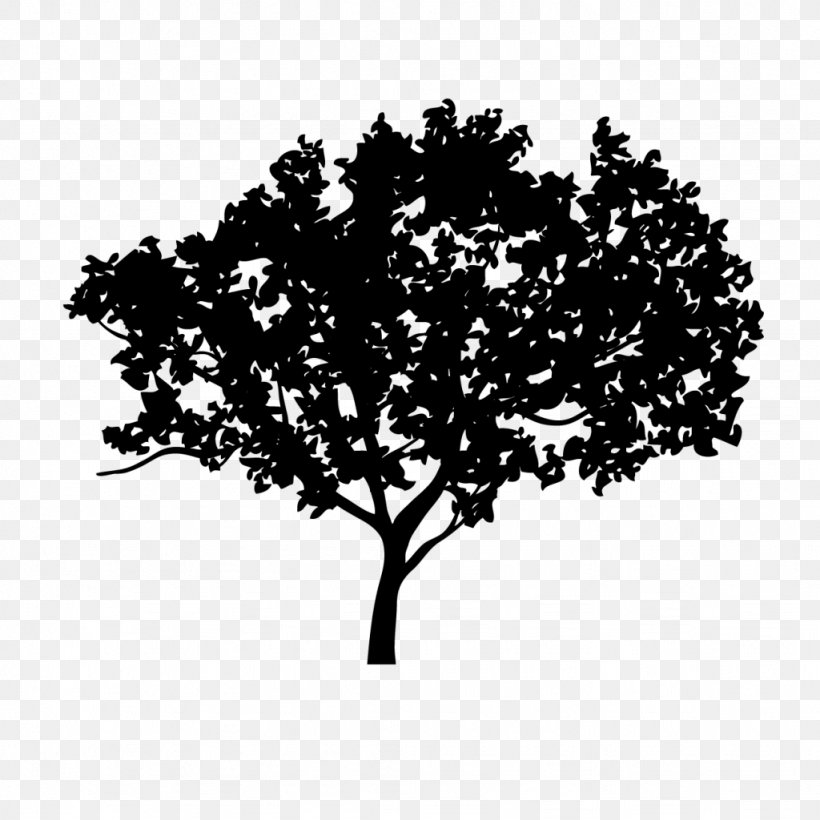 Oak Tree Leaf, PNG, 1024x1024px, White, Blackandwhite, Branch, Cottage, Flower Download Free